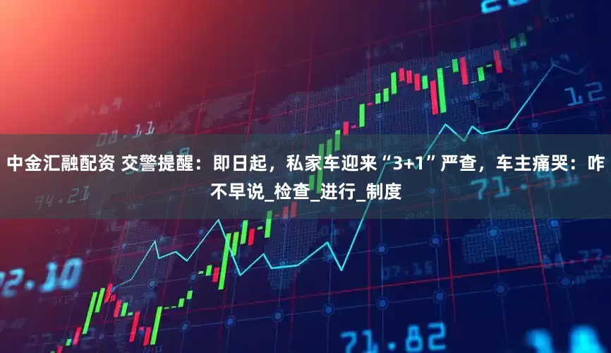 中金汇融配资 交警提醒：即日起，私家车迎来“3+1”严查，车主痛哭：咋不早说_检查_进行_制度