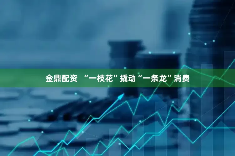 金鼎配资  “一枝花”撬动“一条龙”消费
