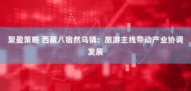 聚盈策略 西藏八宿然乌镇：旅游主线带动产业协调发展