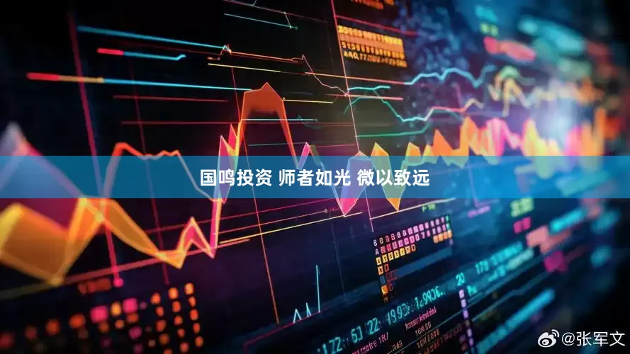 国鸣投资 师者如光 微以致远