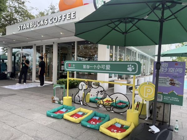 浩广配资 星巴克“第三空间”拓兴趣、健康养生赛道突围……咖啡茶饮如何让秋天更暖？